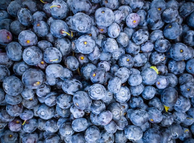 Fond de myrtille. Myrtilles fraîches sur un supermarché ou un comptoir de magasin. Vitamines, baies fraîches et concept d'été