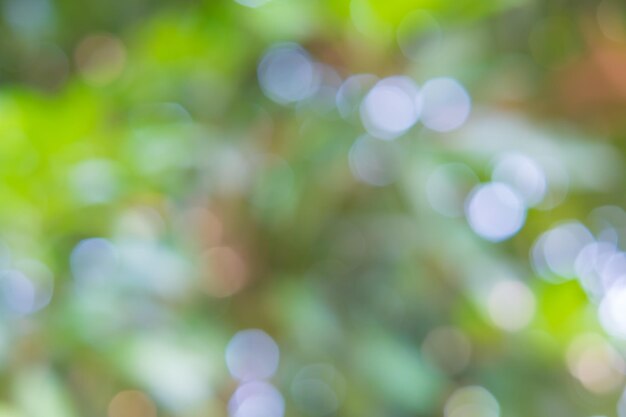 Photo fond de nature abstraite bokeh. mise au point floue