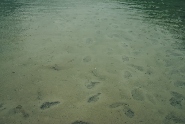 Fond de nature atmosphérique avec de nombreuses empreintes de pas sur fond de sable vert dans l'eau claire du lac avec des cercles de pluie. Lac de montagne transparent. Fond vert minimal d'eau claire avec des cercles de pluie.