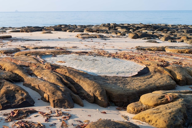 Photo fond de nature du littoral rocheux de plage de bord de mer avec la surface de l'eau pour le concept de paysage de style de vie de relaxation de vacances