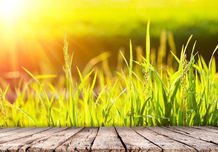 Photo fond de nature avec de l'herbe verte au coucher du soleil et plateau de table en bois