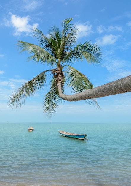 Fond nature de la mer avec cocotier