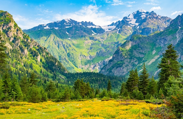 Fond nature avec montagnes, champ de fleurs sauvages et ciel bleu