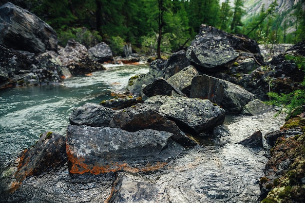 Fond de nature pittoresque de ruisseau d'eau claire turquoise parmi les rochers avec des mousses et des lichens. Paysage de montagne atmosphérique avec des pierres moussues dans un ruisseau de montagne transparent. Beau ruisseau de montagne.