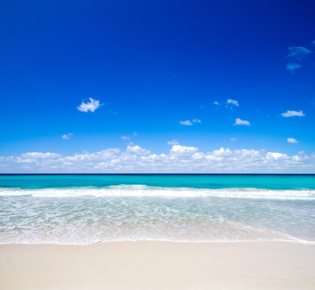 Fond de nature plage et mer tropicale