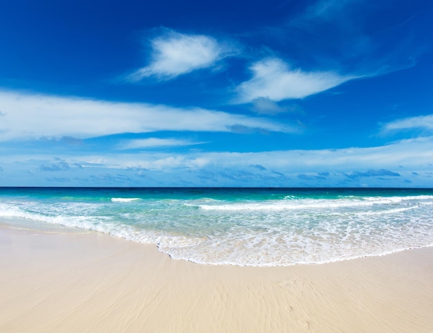 Photo fond de nature plage et mer tropicale