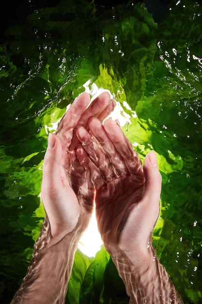 Fond de nature pour l'affichage du produit de la scène de la vitrine du produit