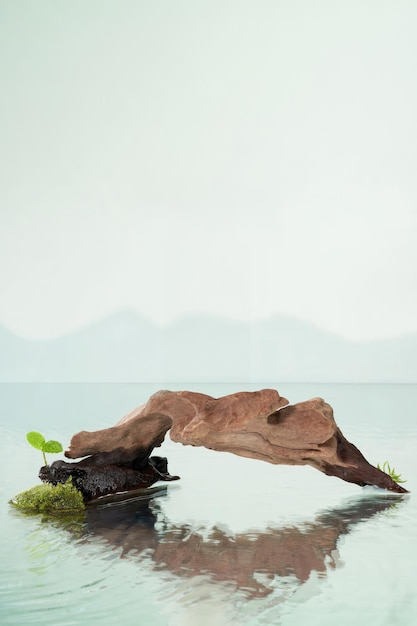 Fond de nature pour l'affichage du produit de la scène de la vitrine du produit