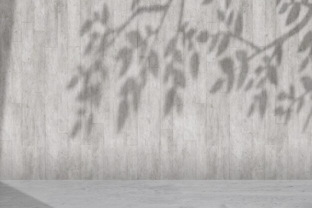 Fond de nature vierge. Mur de béton blanc avec sol avec ombre de feuille. Rendu d'illustrations 3D.