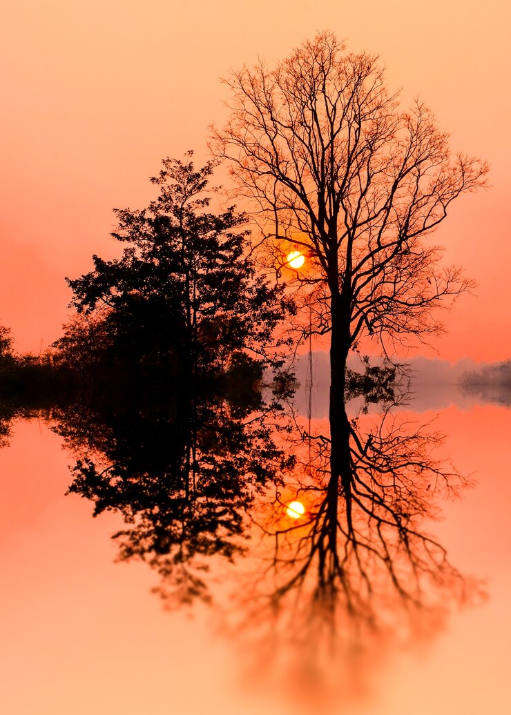 Photo fond naturel, coucher de soleil