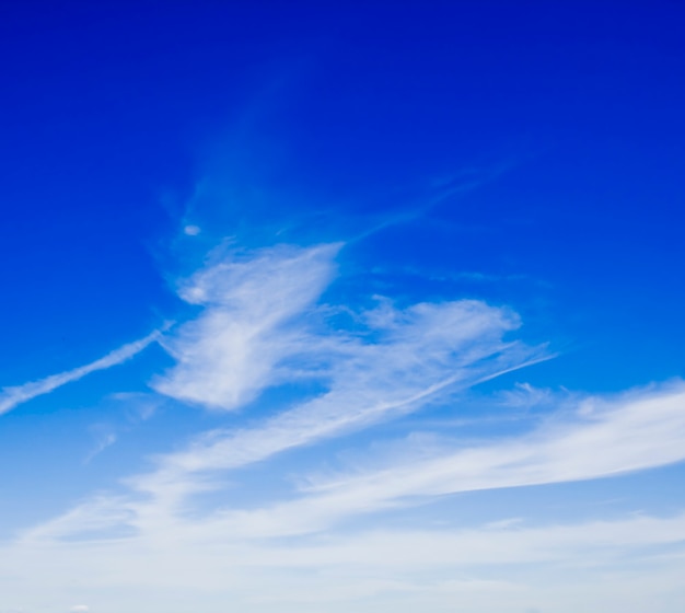 Fond naturel. nuages blancs sur ciel bleu