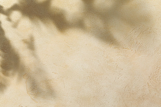 Fond naturel avec texture grunge Mur de béton avec des feuilles tropicales