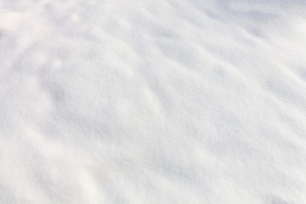 Fond de neige blanche. Texture d'hiver. photo de haute qualité