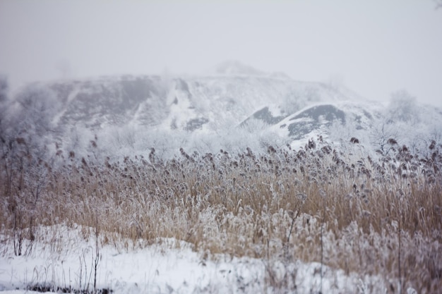 Fond de neige d'hiver doux