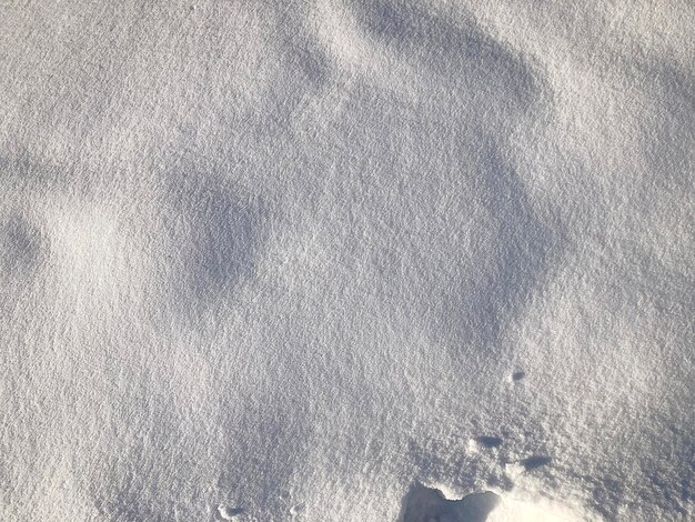 Fond de neige pour maquette