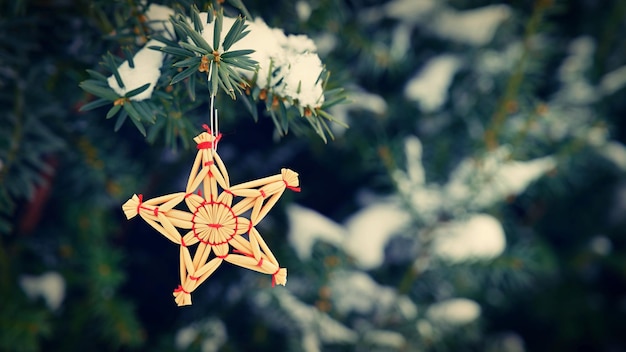 Fond de Noël avec arbre et vieille décoration de paille naturelle Temps de vacances d'hiver avec de la neige
