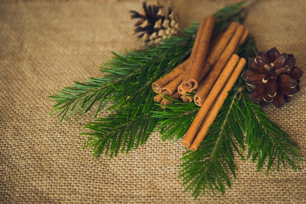 fond de noël avec des bâtons de cannelle et des branches de sapin