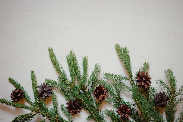 Fond de Noël avec une branche de sapin et des cônes.