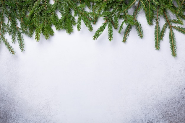 Fond de Noël avec une branche de sapin