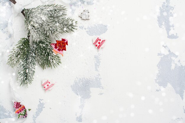 Fond de Noël avec une branche de sapin