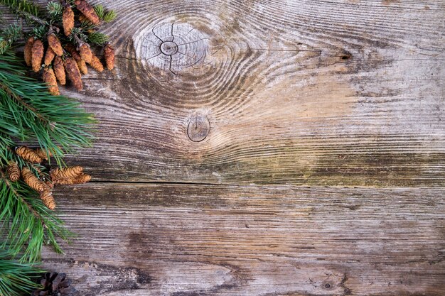 Fond de Noël. Branches de pin vert avec des pommes de pin sur la vieille planche de bois