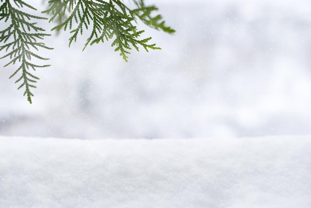 Fond de noël d'hiver avec espace de copie de cadre de branches de sapin vert et neige