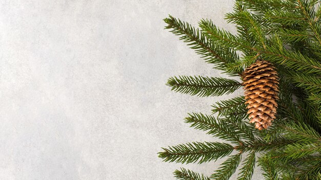 Fond de Noël avec pomme de pin de branches de sapin et place pour le texte