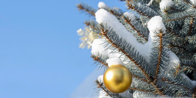 Un fond de noël pour la publicité