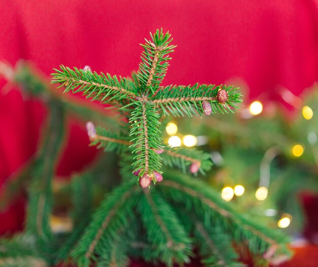 Fond de Noël avec sapin et décoration