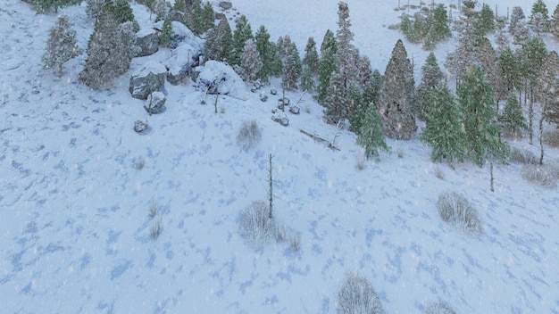 Fond de Noël avec sapin et neige. Illustration rendu 3D