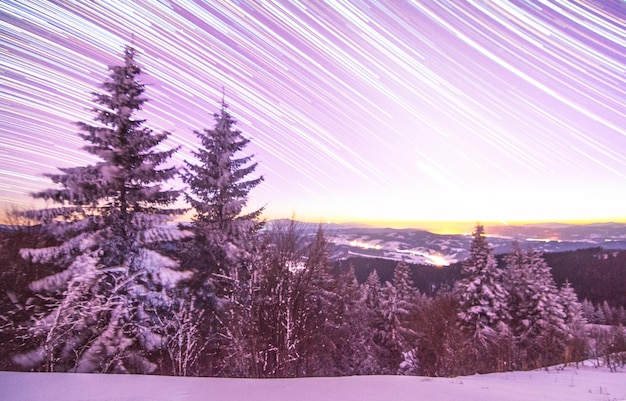 Fond de Noël avec des sapins enneigés et espace de copie