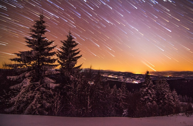 Fond de Noël avec des sapins enneigés et espace de copie