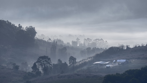 Fond noir et blanc de montagne et de brouillard