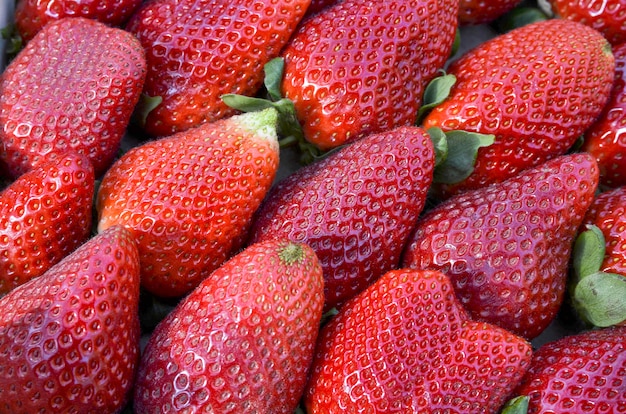 Fond de nombreuses fraises fraîches colorées