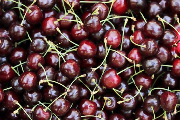 Fond de nourriture cerises mûres fraîches