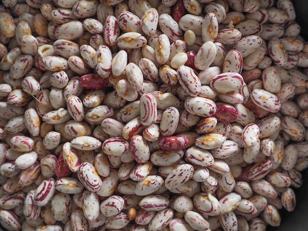 Fond de nourriture de légumineuses haricots cramoisis