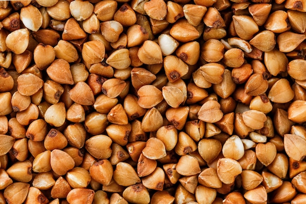 Fond de nourriture de sarrasin. Céréales utiles pour les végétariens