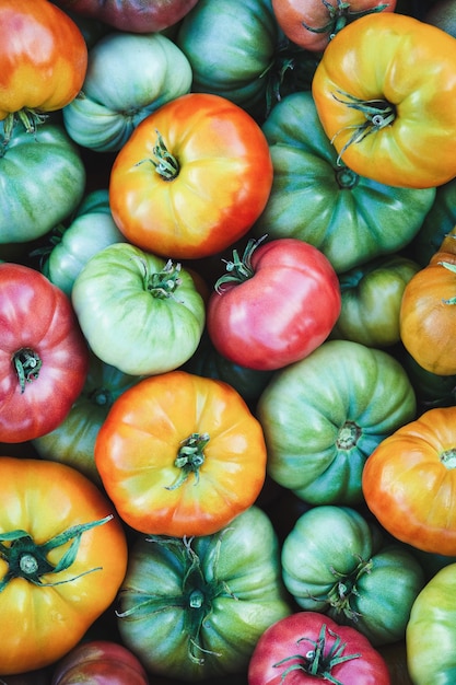 Fond de nourriture de tomates rouges jaunes vertes texture de tomates récoltées