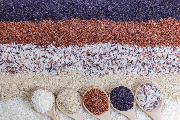 Fond de nourriture avec vue de dessus de cinq rangées de riz dans une cuillère de bois.