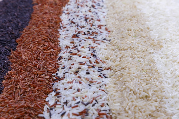 Fond de nourriture avec vue de dessus de cinq rangées de riz.