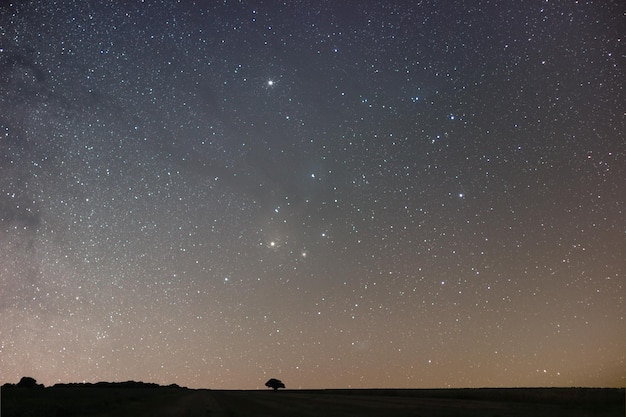 Fond de nuit. Ciel étoilé de nuit. Ciel nocturne avec des étoiles