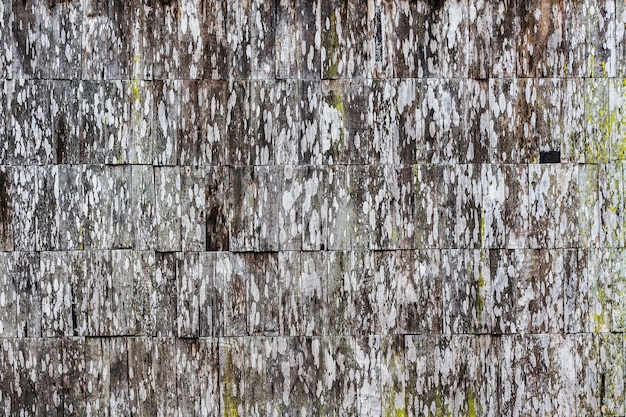 Fond de panneau de bois