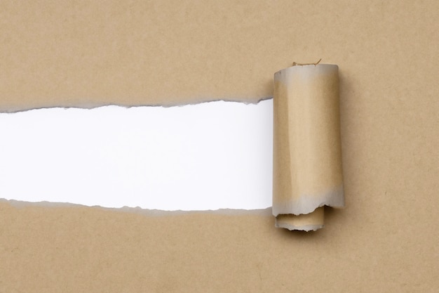 fond papier déchiré texture
