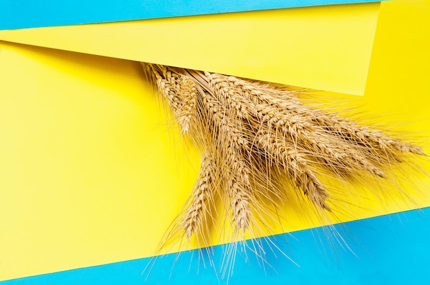 Fond de papier jaune et bleu Couleurs et symboles de l'Ukraine