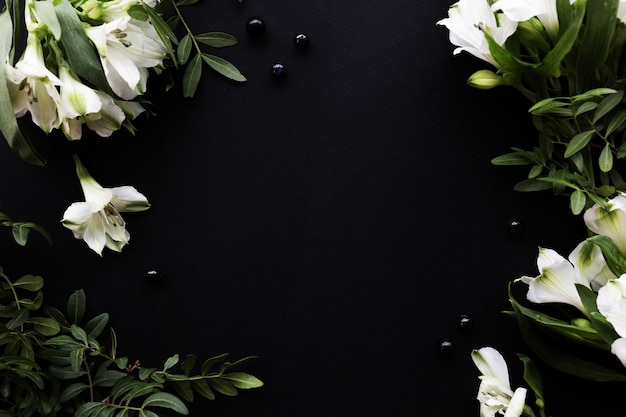 Le fond de papier noir avec l'espace de copie tout autour est la fleur blanche d'alstroemeria