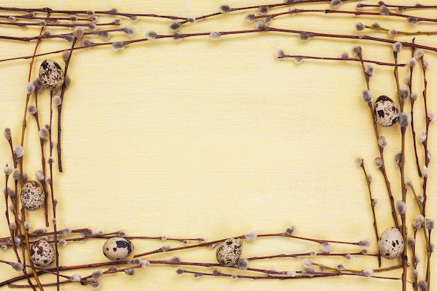 Fond de Pâques. Bordure de branche de saule et oeufs de caille sur fond jaune. Espace de copie