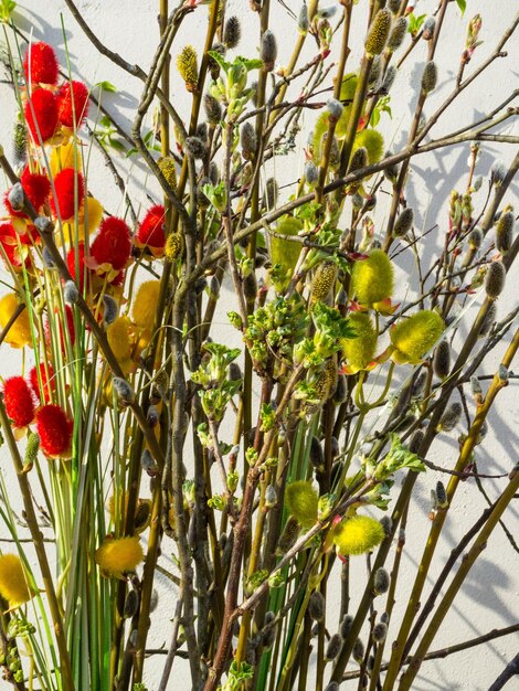 Fond de Pâques avec branche de saule et brindilles colorées