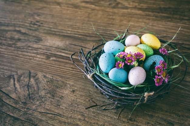 Fond De Pâques. œufs Colorés Dans Un Nid Avec Des Fleurs De Printemps Sur Fond Sombre En Bois