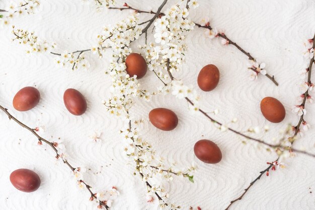 Fond de Pâques avec des oeufs colorés, des oeufs de Pâques colorés et des branches fleuries. Composition de Pâques.