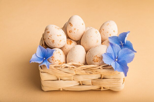 Fond de Pâques avec des oeufs en massepain beige et des fleurs de printemps